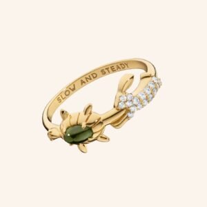 The Slow and Steady Tortoise and the Hare Ring
